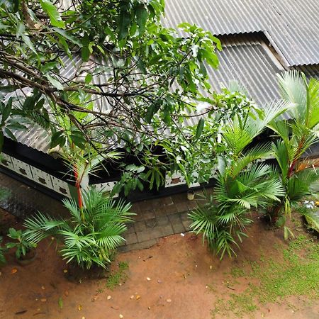 Green Bamboo House Сигирия Экстерьер фото